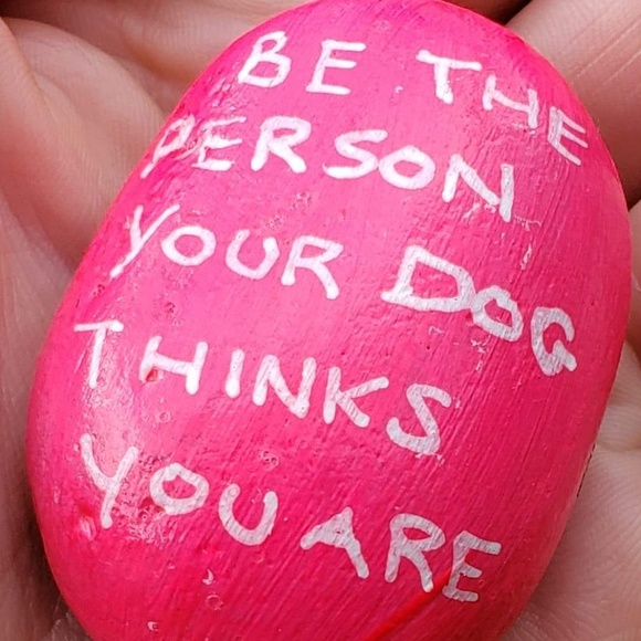 Meet your Posher, Brandi - Picture 1 of 1